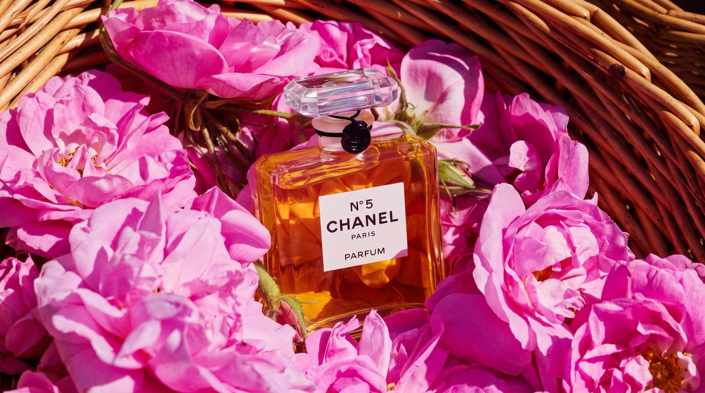 Chanel's Jasmine Is Blooming Too Soon — Joseph Mul's jasmine fields at dawn, Grasse