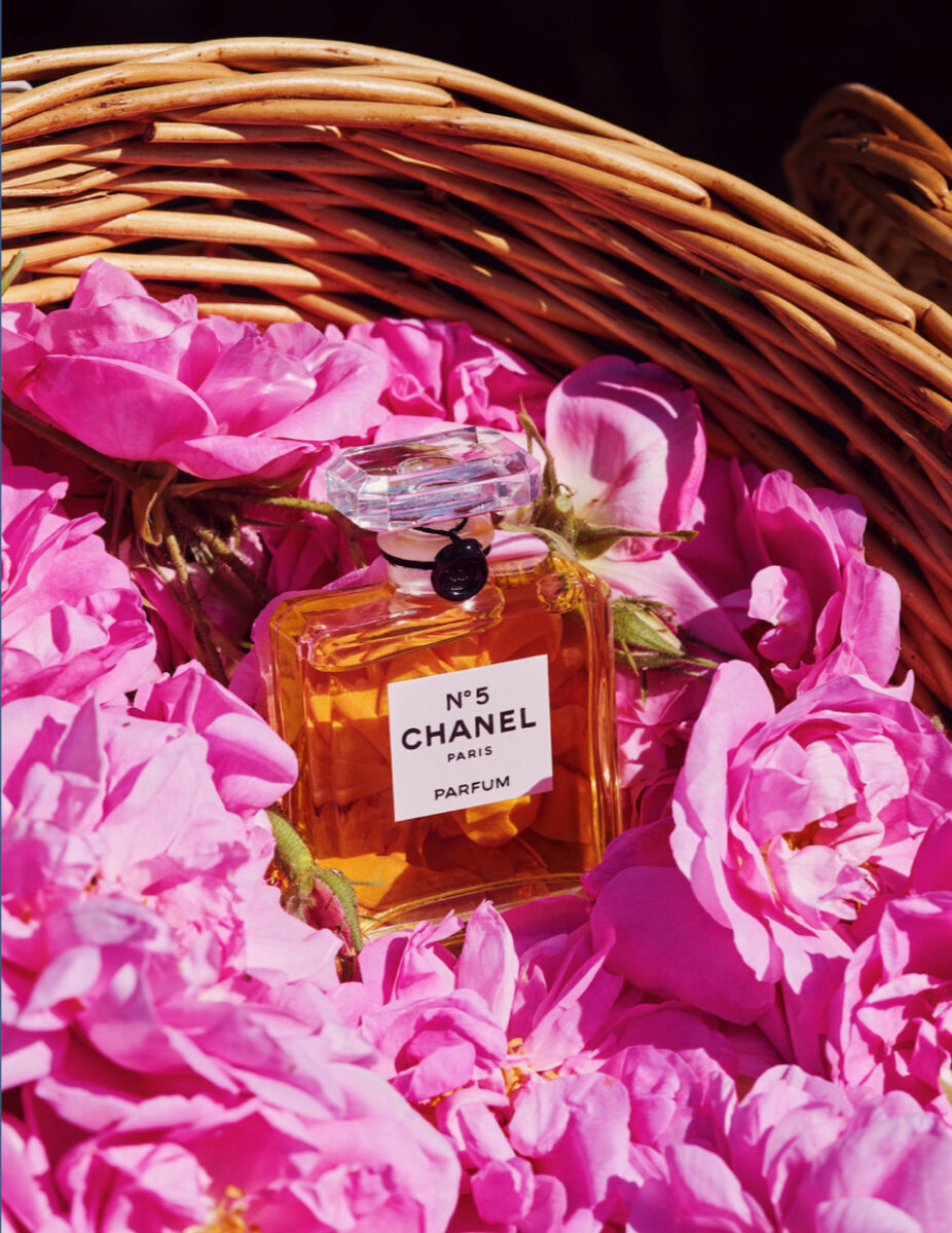 Chanel's Jasmine Is Blooming Too Soon