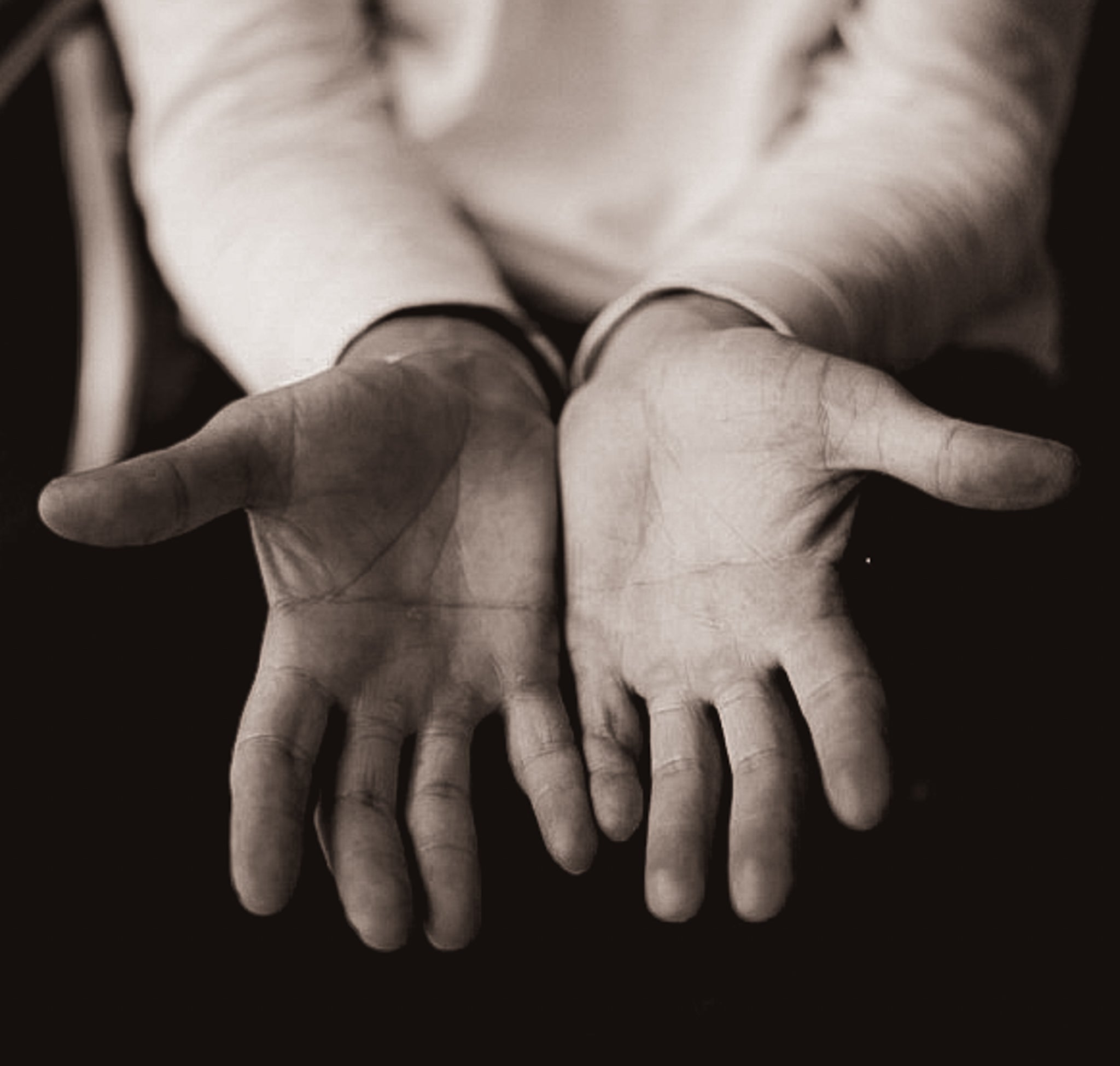 Hands shown in Todd Reed's studio imagery